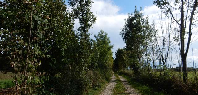 Početak Poučne staze u Deralama na sjeveroistoku Gospića                                                                                                                                                                                                  
